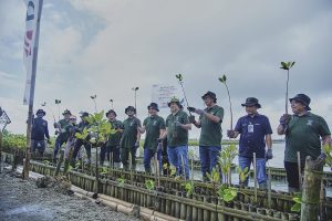 BNI Tanam mangroov di Bali