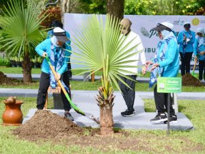 Ibu Iriana Tanam Pohon di Borobudur