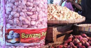 bawang putih
