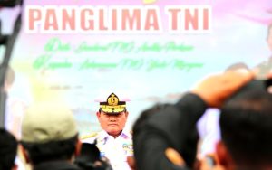 Panglima TNI