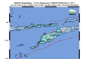 Gempa NTT