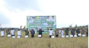 Wamentan Saat Panen Padi