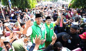 AMIN Jember