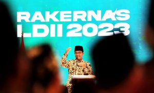 Anies LDII