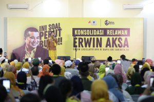 Erwin aksa