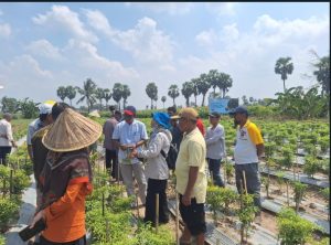 Pendampingan Petani Cabai oleh IPB