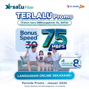 XL 1 Fiber