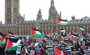 images(52)_copy_800x487