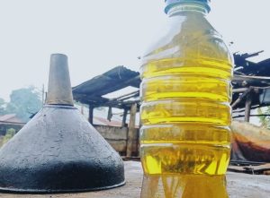 Minyak Cong Plb