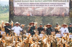 Kasad dan Mentan Panen Raya Jagung di Sukabumi
