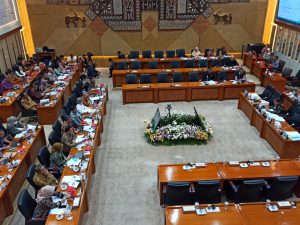 Raker Kemenkes dengan Komisi 9