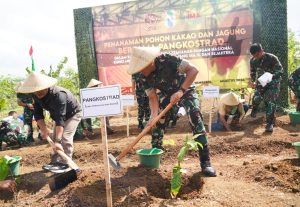 Pangkostrad Tanam Kakao dan Jagung