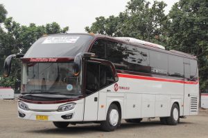 Bus Primajasa