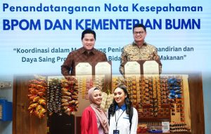 PNM BUMN