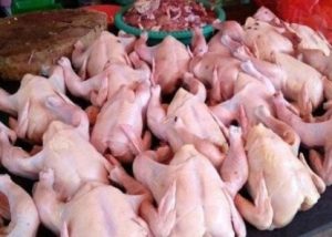 Ayam Potong