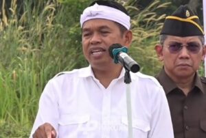 Dedi Mulyadi