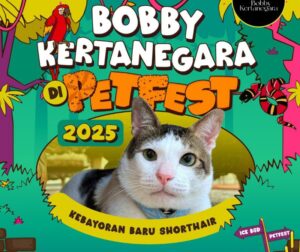 BobbydiPetfest_copy_800x671