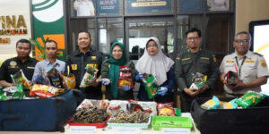 Penyelundupan Kuda Laut di Bandra Hang nadim.
