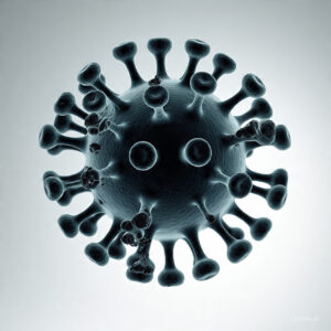 Virus