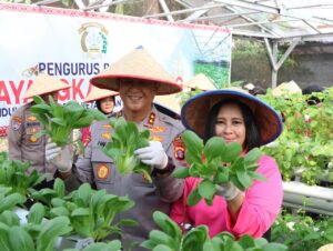 Kapolda Kalteng Panen Sayur