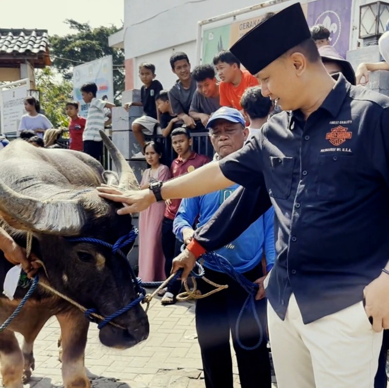 Lawan Arus! Hizrah Bacan dan Betawi Ora Pilih Terus Kurban Kerbau
