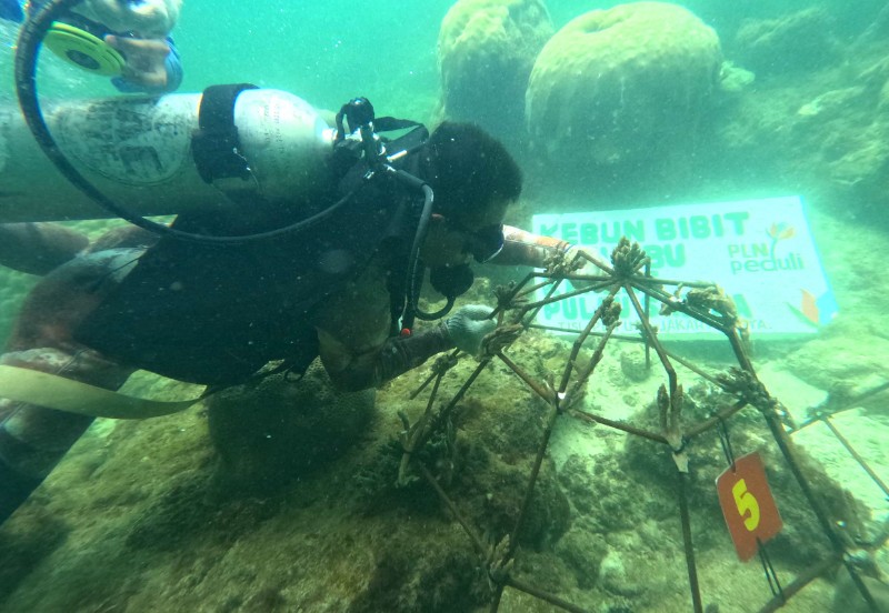 Program Konservasi Pulau Sabira PLN UID Jakarta Raya Raih Predikat Platinum di Indonesia Green Awards 2026