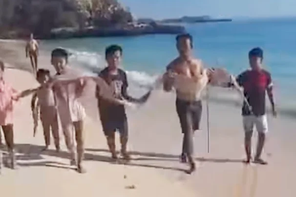 Ikan Oarfish (Ikan Kiamat) Terdampar di Pantai Pink Lombok Timur, Benarkah Pertanda Akan Ada Bencana?
