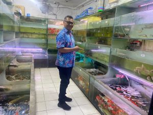 Pameran Ikan Hias